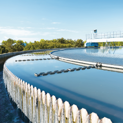 ������ѧ