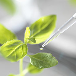 ���ιٷ���վ-����jiuyou���й���