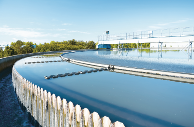 ������ѧ