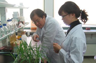 �з�����