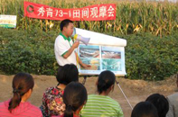 ũ������