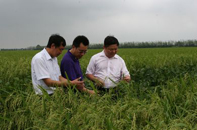 ˮ����������