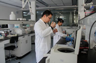 �з�����