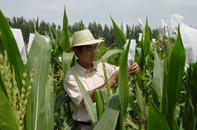 �������ֻ���