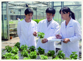 �����˲ż�ֵ ��Ա�����ɳ�