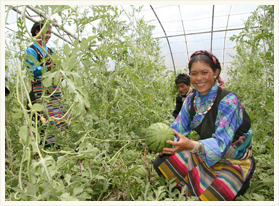 ���ƹ�����ҵ ����Ṳ����