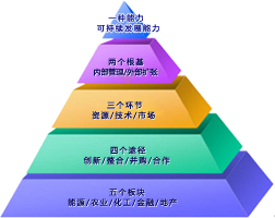 �л����ŷ�չս��