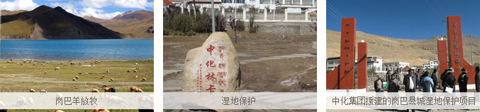 ��̬����