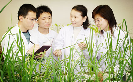 ���߽��¹��󡱲ɷ����߽��л����š��۽���˾ȫ��λ�����ִ�ũҵ�Ĵ��¾ٴ�