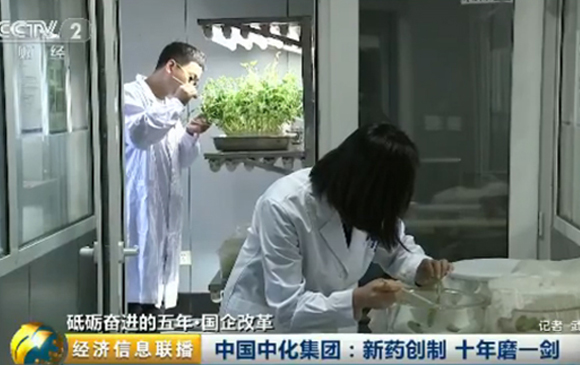 �л����ţ���ҩ���� ʮ��ĥһ��